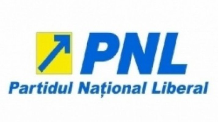Cifre umflate la europarlamentare pentru PNL: liberalii îşi propun 30%, dar scorul real e mai mic